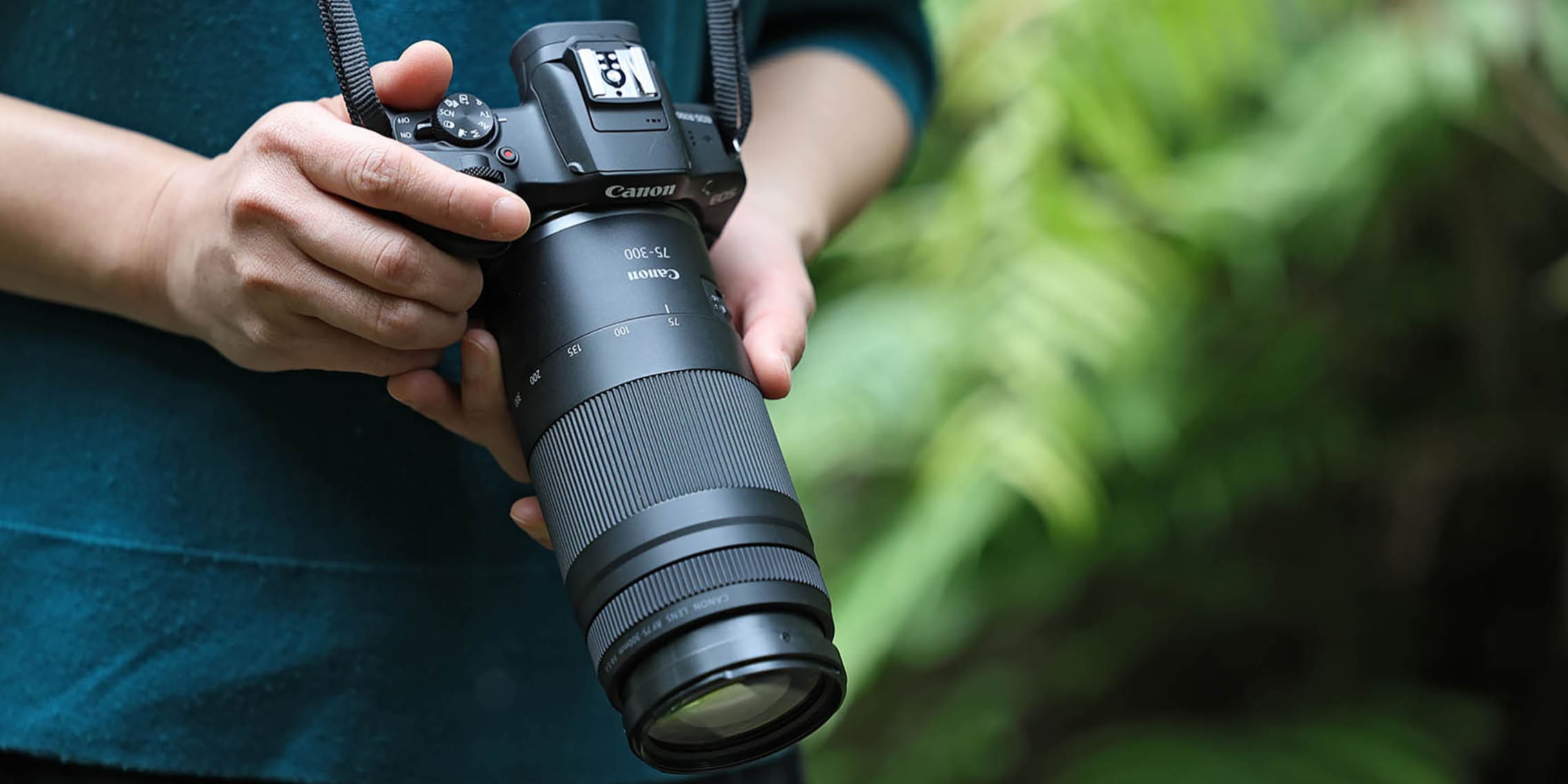Canon RF 75-300 mm F4-5.6: old lens, new bayonet mount - Galaxus