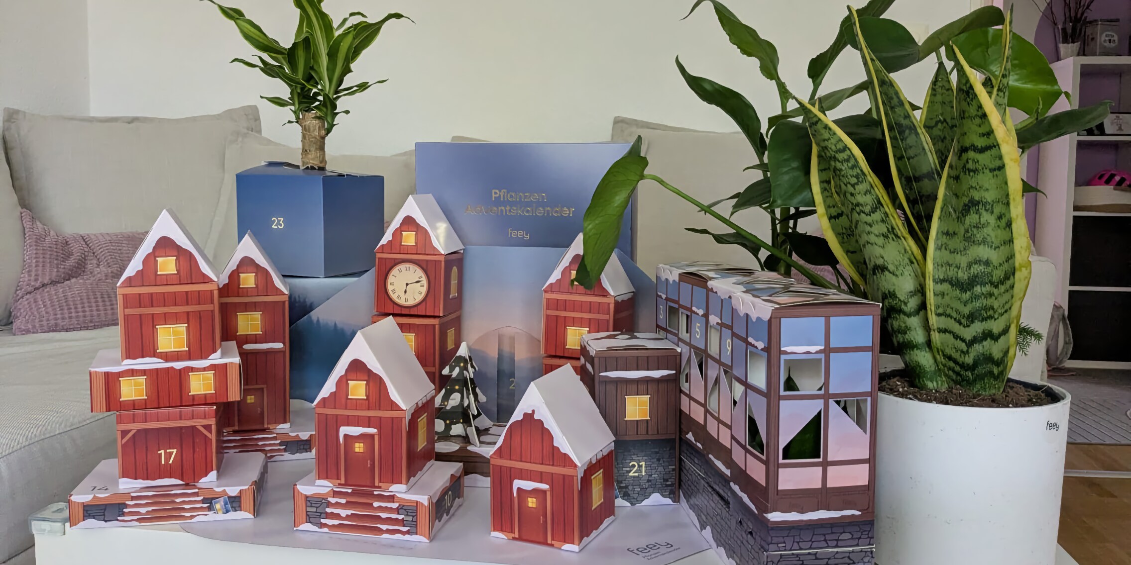 Test zum Feey-Adventskalender Dschungel-Edition - Galaxus