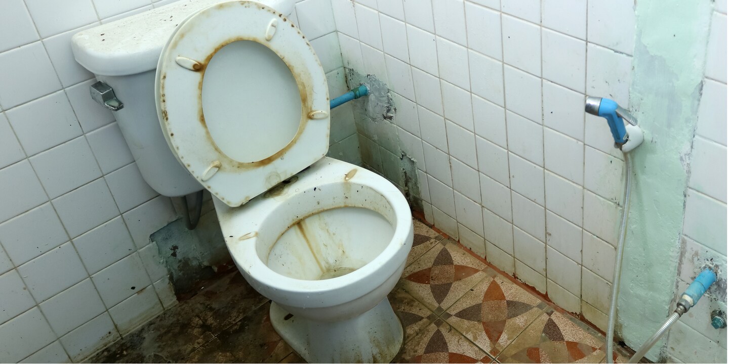Scheisse bewegt: Zur Kulturgeschichte der Toilette und Reinheitsvorstellungen