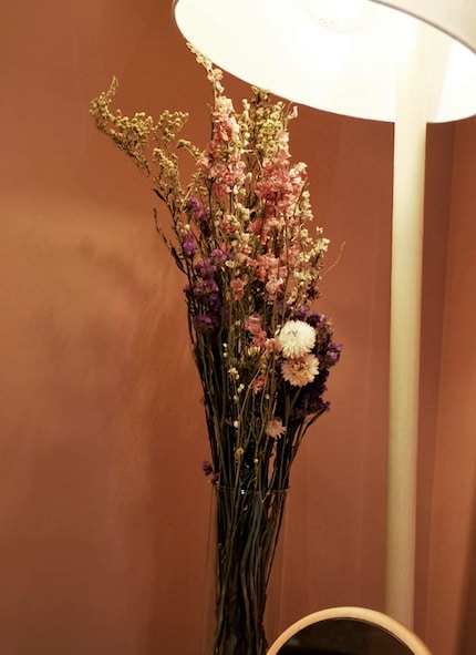 Easter or strawflower, beach lilac