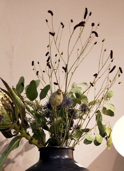 Eucalyptus, protea, thistle (alpine manstraw), poppy capsule