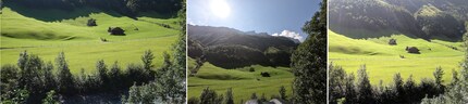 F.l. Sony, GoPro, Pixel. DJI is missing because the colleague initially called «Take Picture» instead of «Take Photo».