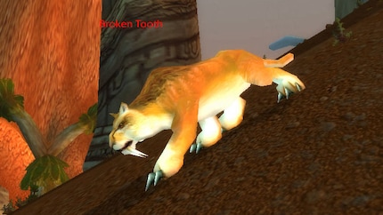 There was no better pet for offensive hunters in WoW Vanilla.