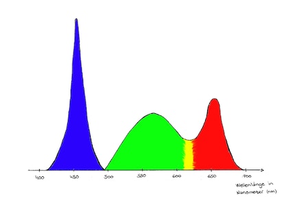 The X axis shows the wavelength of the corresponding colours. The taller the curve, the bigger the spectral elements of each wavelength.