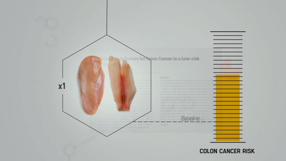 Schöne Illustrationen und Statistiken unterstreichen das Gesagte