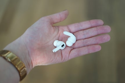 They’re definitely small.