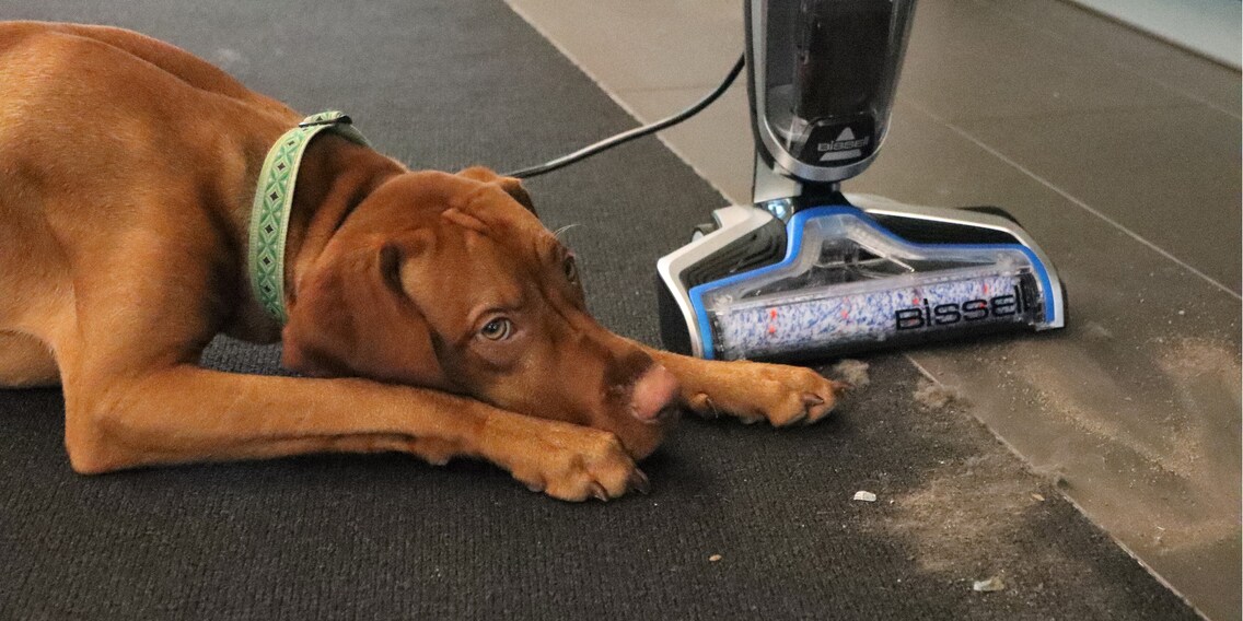 Bissell CrossWave Pet Pro im Test: Staubsaugen und dabei den Boden wischen