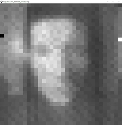 Eine Testaufnahme mit zwei noch nicht funktionierenden Pixeln.
