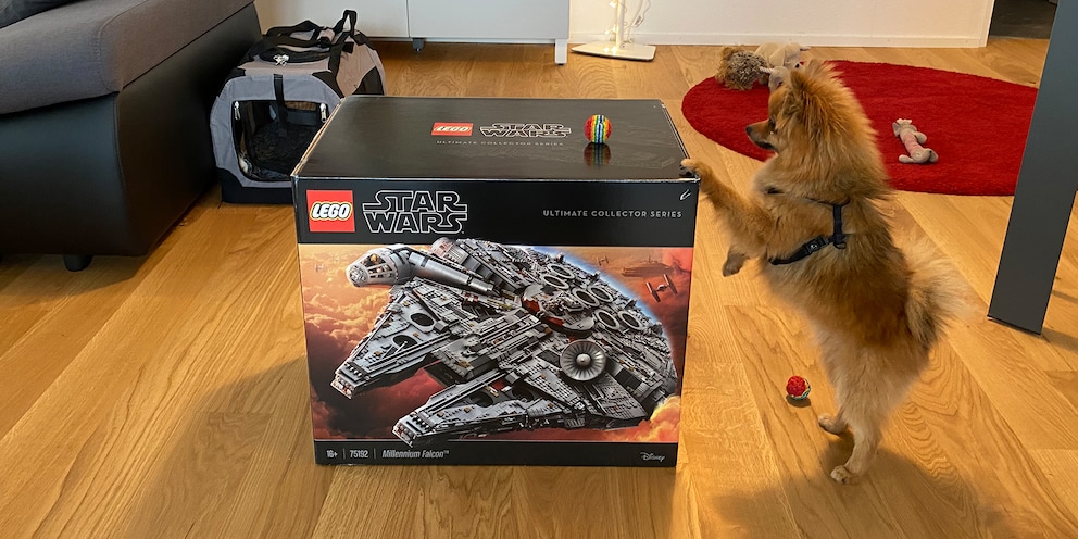 Eine Schachtel so gross wie ein Hund – ein Traum für jeden LEGO-Fan.