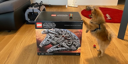 Eine Schachtel so gross wie ein Hund – ein Traum für jeden LEGO-Fan.