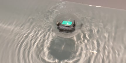 It doesn’t just roll on hard floors and carpets but also in water.