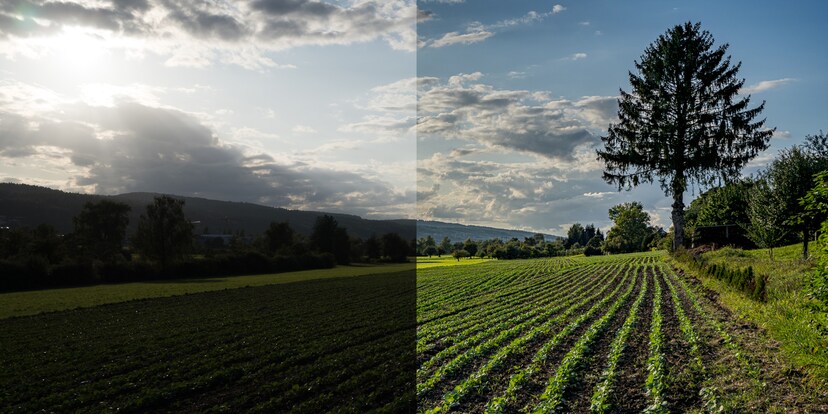 Fotobearbeitung: Helligkeitsunterschiede ausgleichen