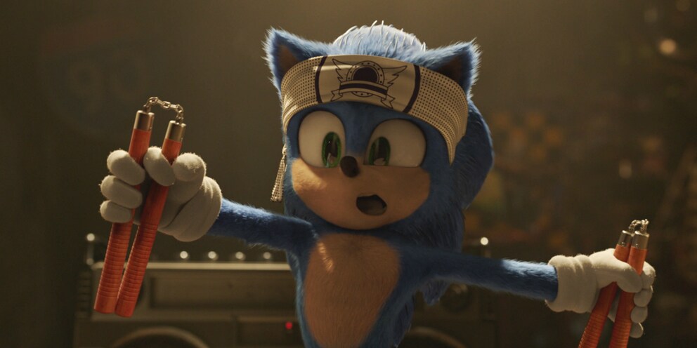 Kung-Fu-Sonic. Eine gute Idee für ein Sequel, oder?