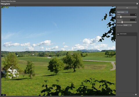 Das Ausprobieren der Filter macht wenig Spass, da die Software nicht nachkommt mit Rechnen.