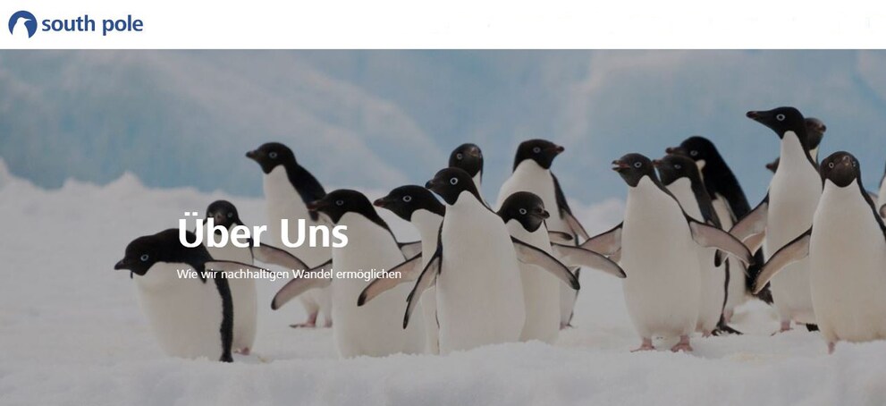 Screenshot von southpole.com/de/warum-spg, Pinguine sind auch dort prominent abgebildet.