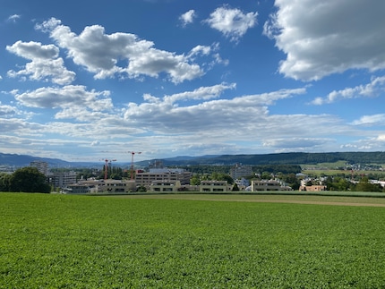 Das selbe Panorama aus dem iPhone 11 Pro Max