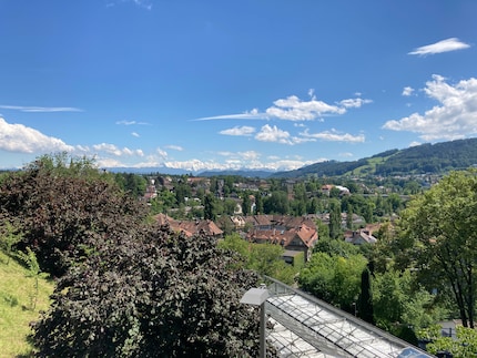 Die Alpen in 1x Zoom, iPhone SE 2nd Generation