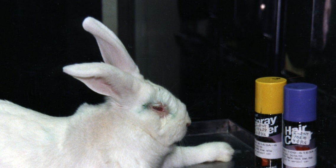 Tiermissbrauch in der Kosmetikindustrie