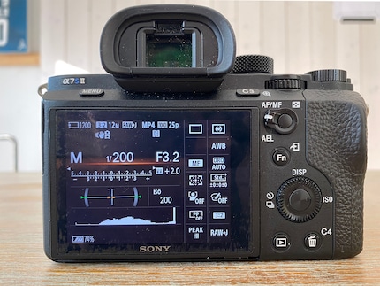 The user interface of my Sony a7sii.