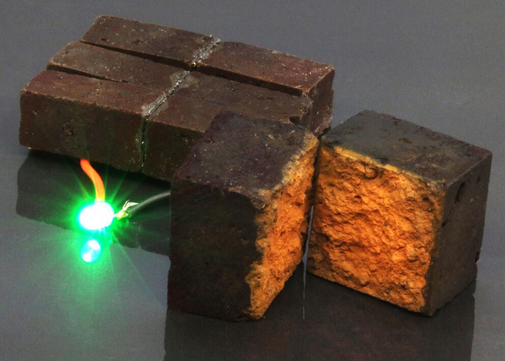 Mit den von den Forschern entwickelten «smart bricks» lässt sich etwa eine grüne LED zum Leuchten bringen. Bild: D'Arcy laboratory, Department of Chemistry, Washington University in St. Louis