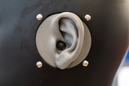 The Noise Chancellor has microphones in his ears