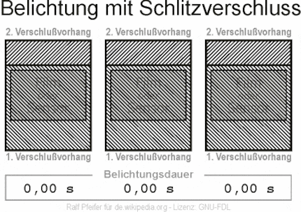 Bild: wikimedia.org/Ralf Pfeifer