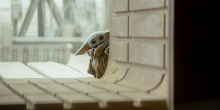 Baby Yoda…erm, the Child.