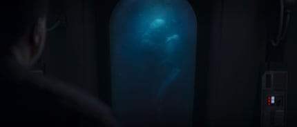 Sagt nicht, dass diese Bacta Tanks nur mich an Supreme Leader Snokes Tanks aus «Rise of Skywalker» erinnern?