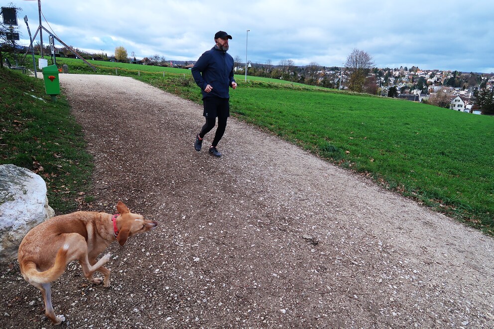 Auch mein Hund arbeitet an seinen Grundlagen. Bei ihm geht es jedoch mehr in Richtung Yoga.