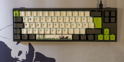 Miya Pro Panda Edition der Art Tastatursus.