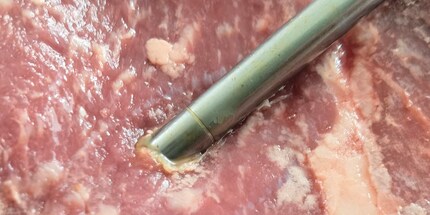 Die Sonde ist ziemlich dick und darf nur bis zum Ring ins Fleisch gesteckt werden