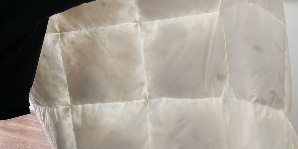 Egal, ob Daunen oder Daunenimitat – das Duvet gehört ab und zu gewaschen.