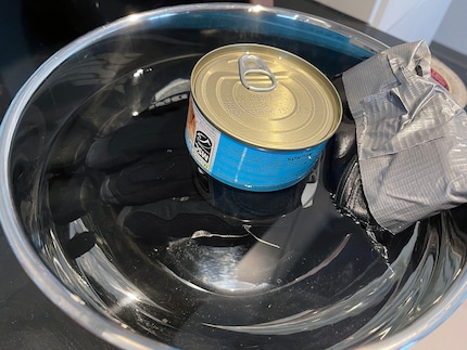 Ein hochprofessioneller Labortest. Mit Thunfisch.