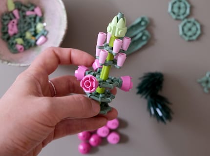 Almost done: the snapdragon.