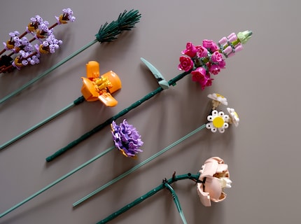 Flowers from the LEGO market for the single market.