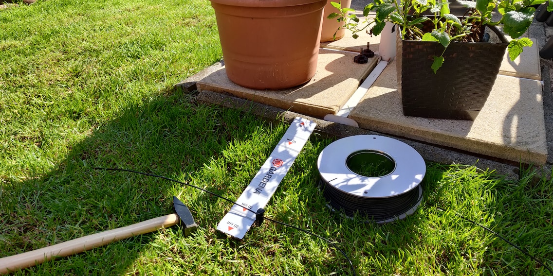 «Nicht durch die Rosen!» So finden sich Mähroboter im Garten zurecht