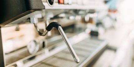 You should give the steam wand a quick wipe and rinse after each use.
