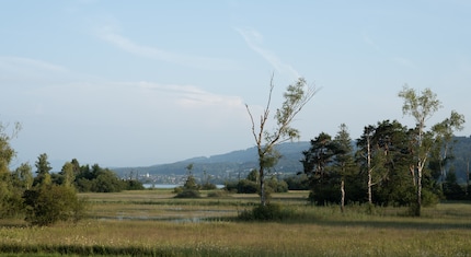 RAW-Bild ohne Optimierungen, 100 ISO