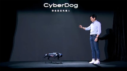 Wäre der Mensch auf dem Bild 170 cm gross, müsste der Roboter-Hund 40 cm gross und über 60 cm lang sein.