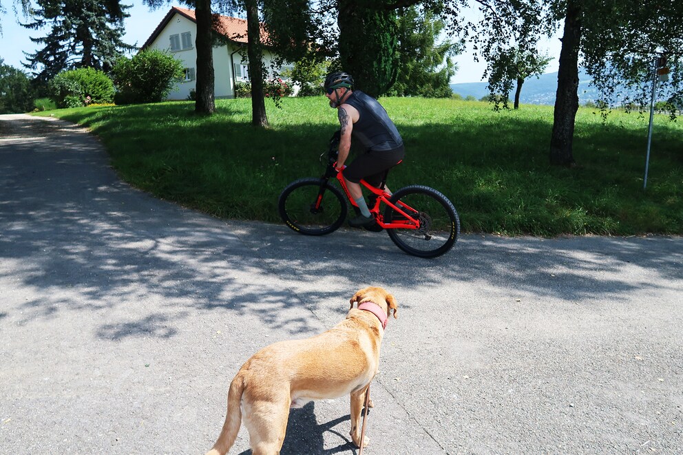 Was macht dieser komische Mann auf diesem seltsamen roten Töff, scheint sich der Hund zu fragen.
