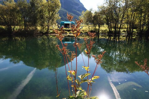 Die Sonne glitzert im Teich, der Espresso schmeckt: So geht Arbeit 4.0.