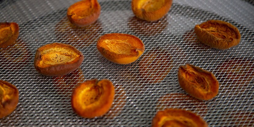 Dörrgeräte im Vergleichstest: Der Backofen gewinnt