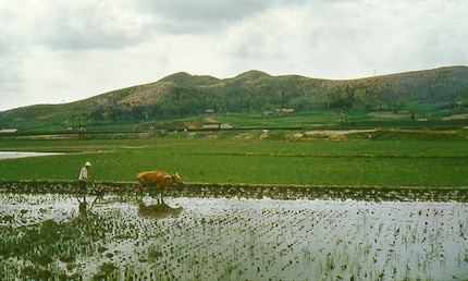 Südkorea in den 1960ern