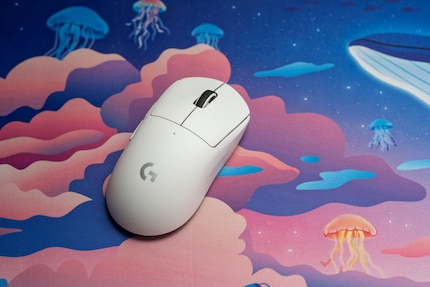 Die Logitech Pro X Superlight ist die Eierlegende-Wollmilchsau in Bezug auf den Grifftyp. Sie eignet sich für alle drei gängigen Grifftypen.