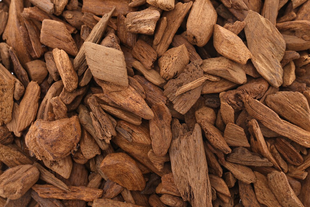 Sticks aus dem Adlerholzbaum, auch Agarh-Holz oder Agarwood genannt. Shutterstock