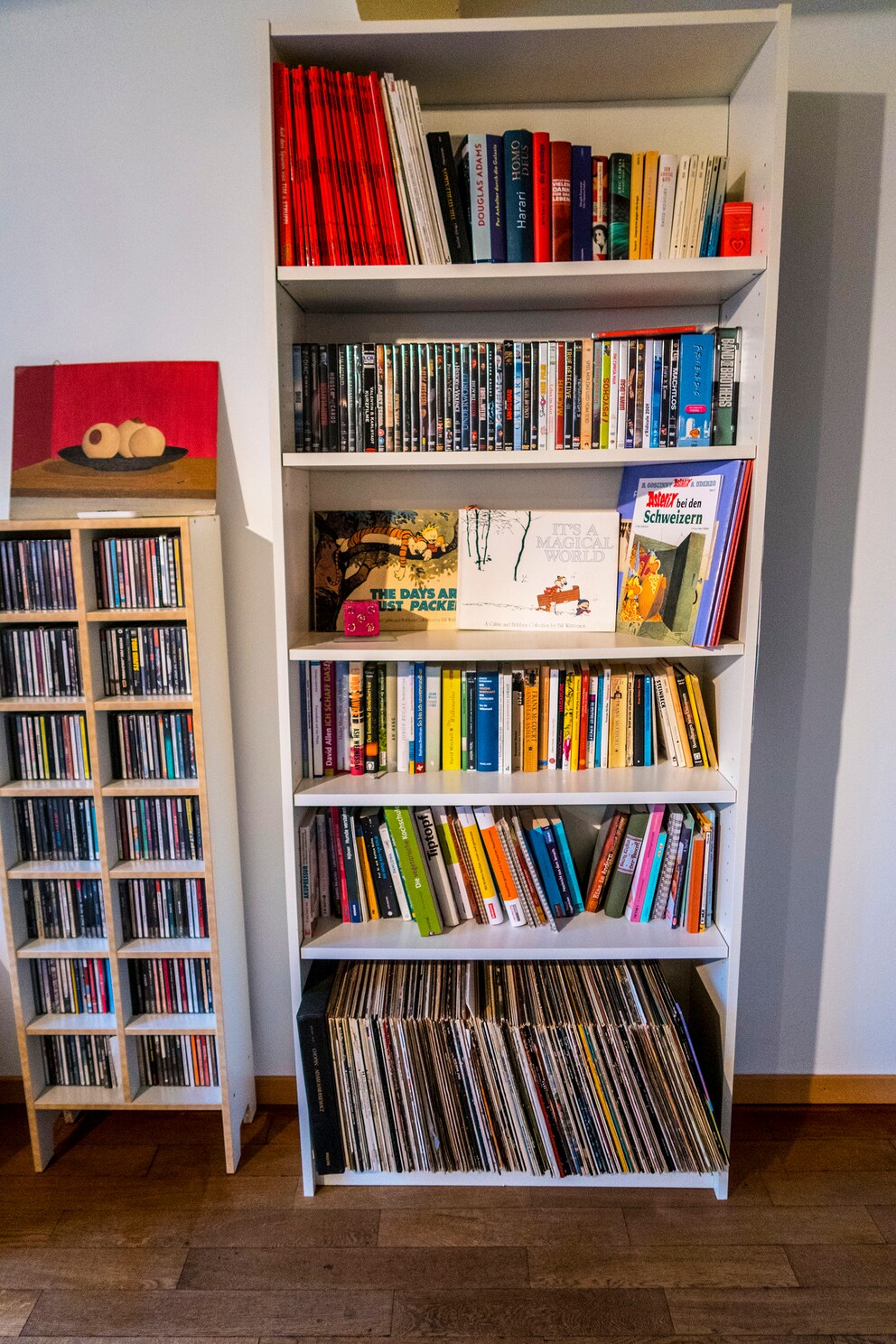 Comics, DVD's, Literaturklassiker und Vinyl bunt gemischt.
