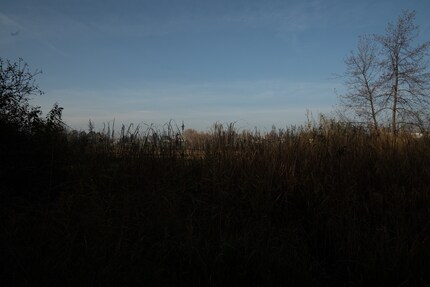 Lossless compressed