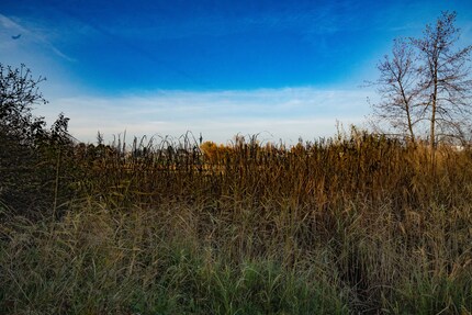 Lossless compressed, heavily edited