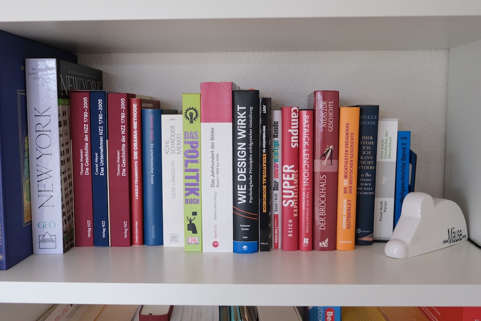 Der ordentlichste Teil meines Bücherregals: Politisches, Geschichtliches, Berufliches.