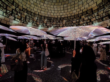 While the mushrooms that thrive on the inside are celebrated with umbrellas and a film.